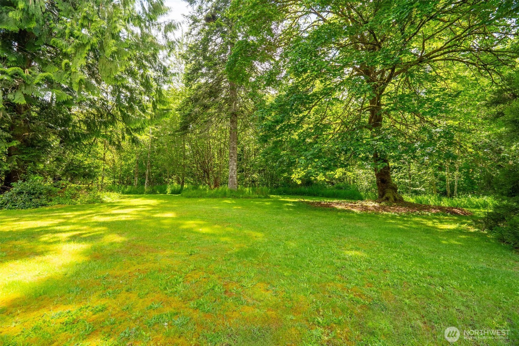 265 River Heights Road Centralia, WA 98531 - Photo 22 of 37 Gallery Image 22