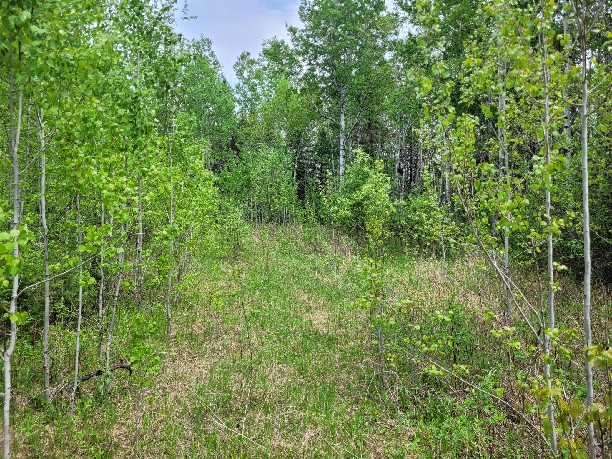 68232 County Road 547 Cook, MN 55723 - Photo 9 of 16