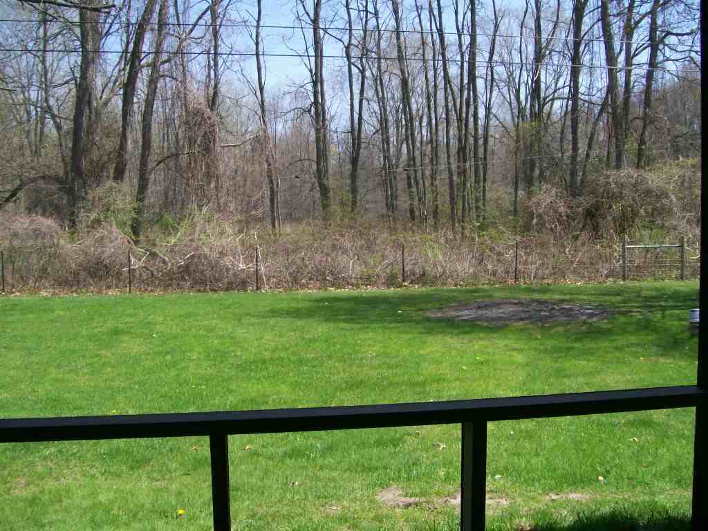 9061 Peters Road Algonac, MI 48001 - Photo 19 of 30 31240815-19.JPG