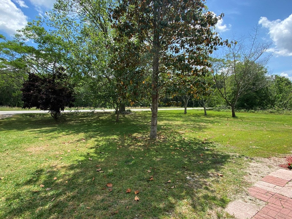 4852 Johnson Road South Valdosta, GA 31601 - Photo 2 of 17 Gallery Image 2