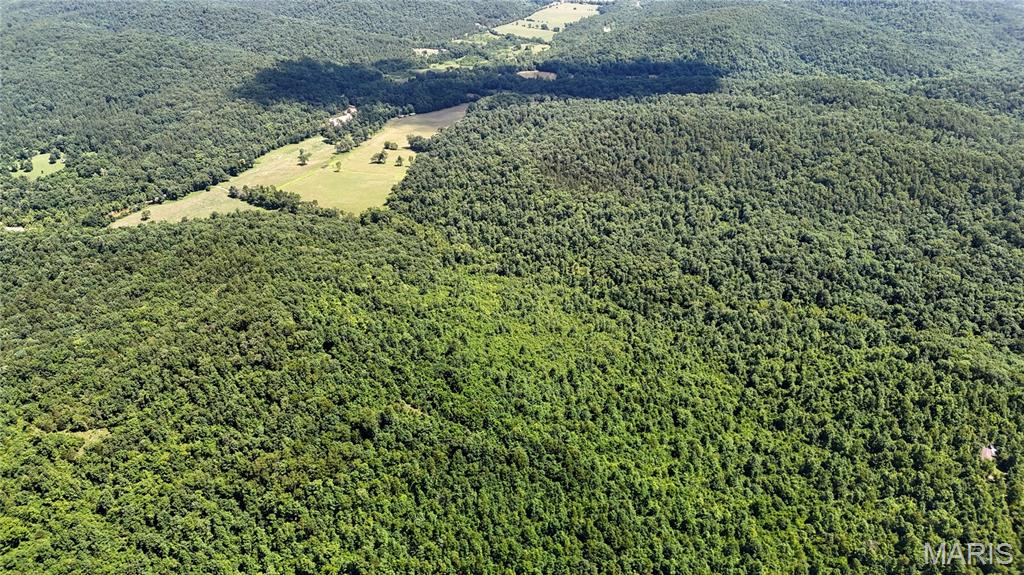 Tbd Tbd Antler Ridge Bunker, MO 63629 - Photo 6 of 26
