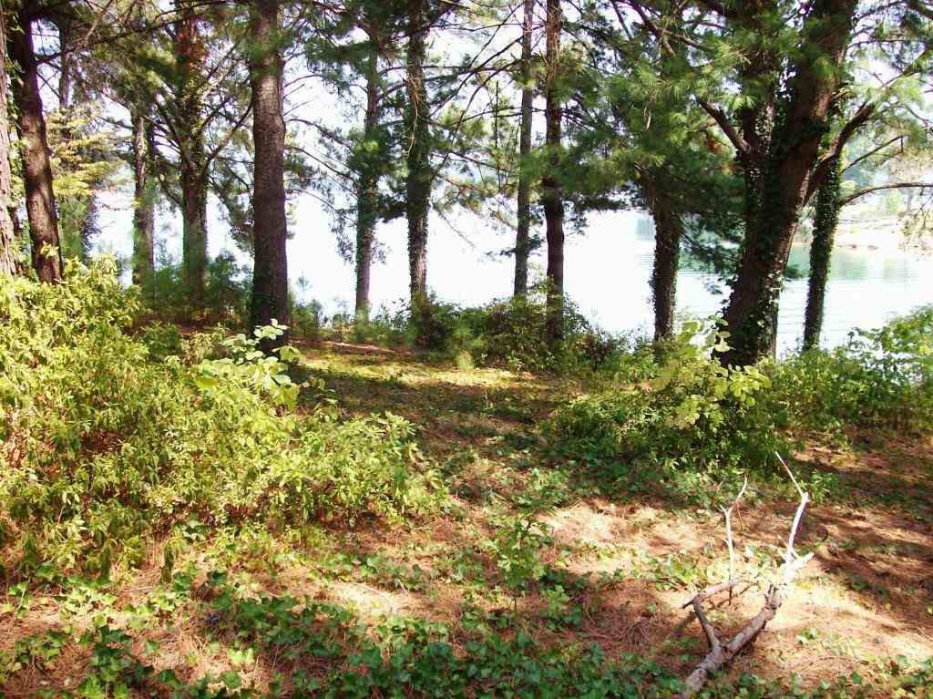 Lot 6 Luther Land Road Seneca, SC 29672 - Photo 4 of 6 Gallery Image 4