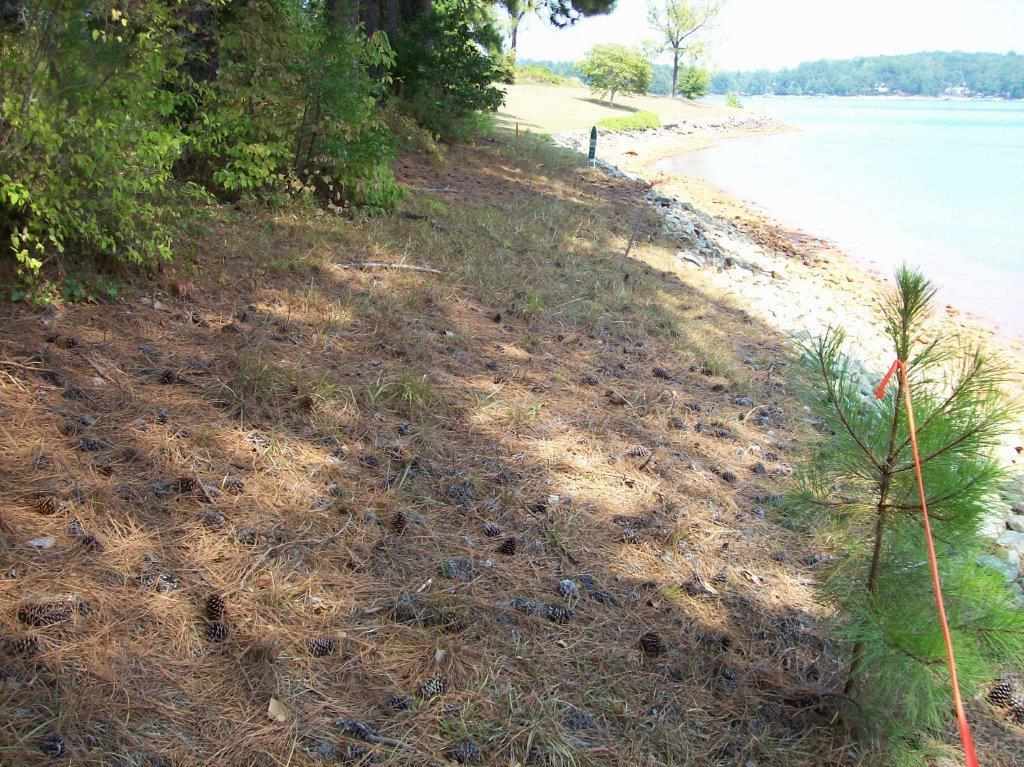 Lot 6 Luther Land Road Seneca, SC 29672 - Photo 6 of 6 Gallery Image 6