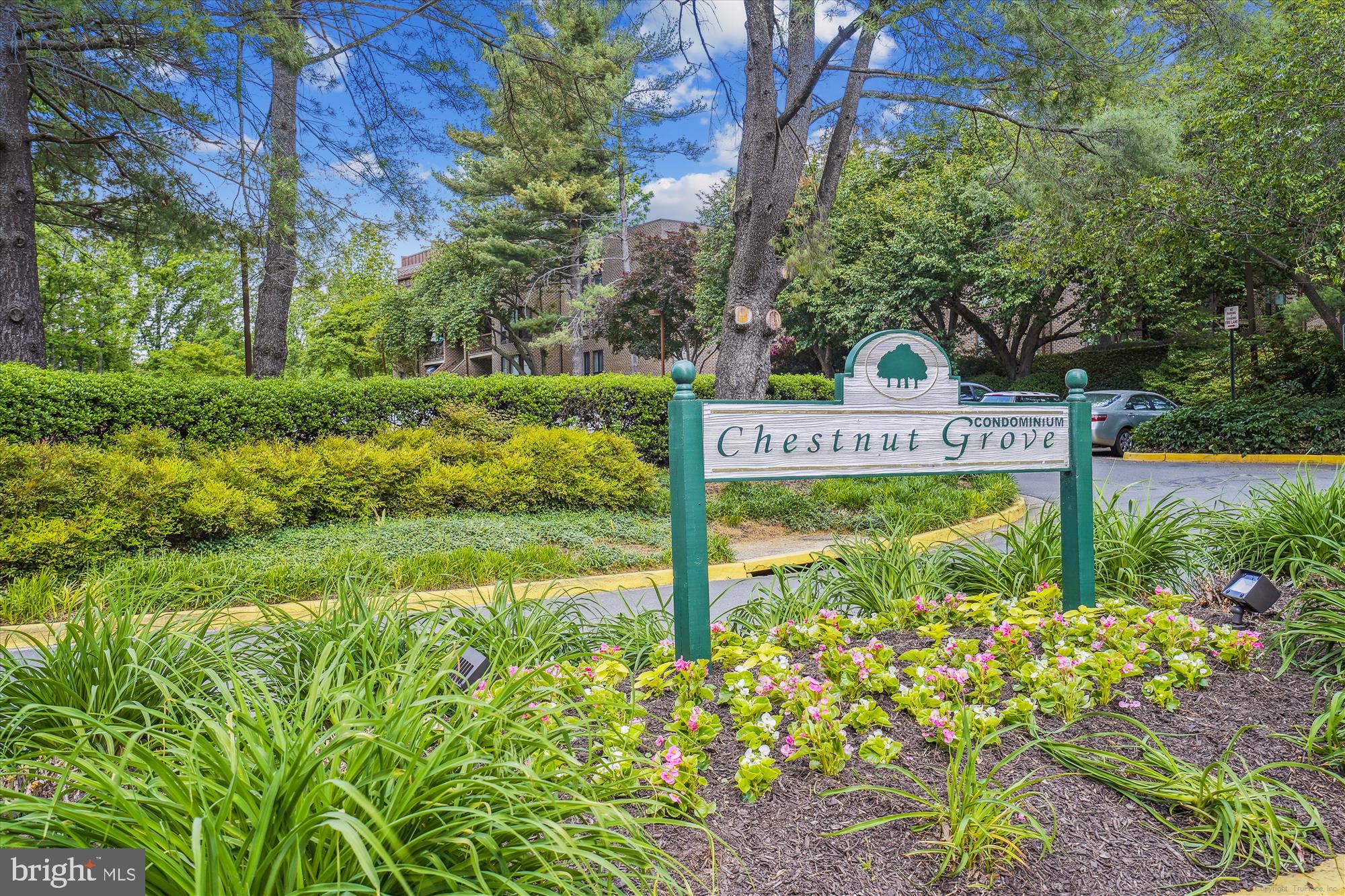 11228 Chestnut Grove Square, Unit 16 Reston, VA 20190 - Photo 24 of 47 Chestnut Grove Condominium