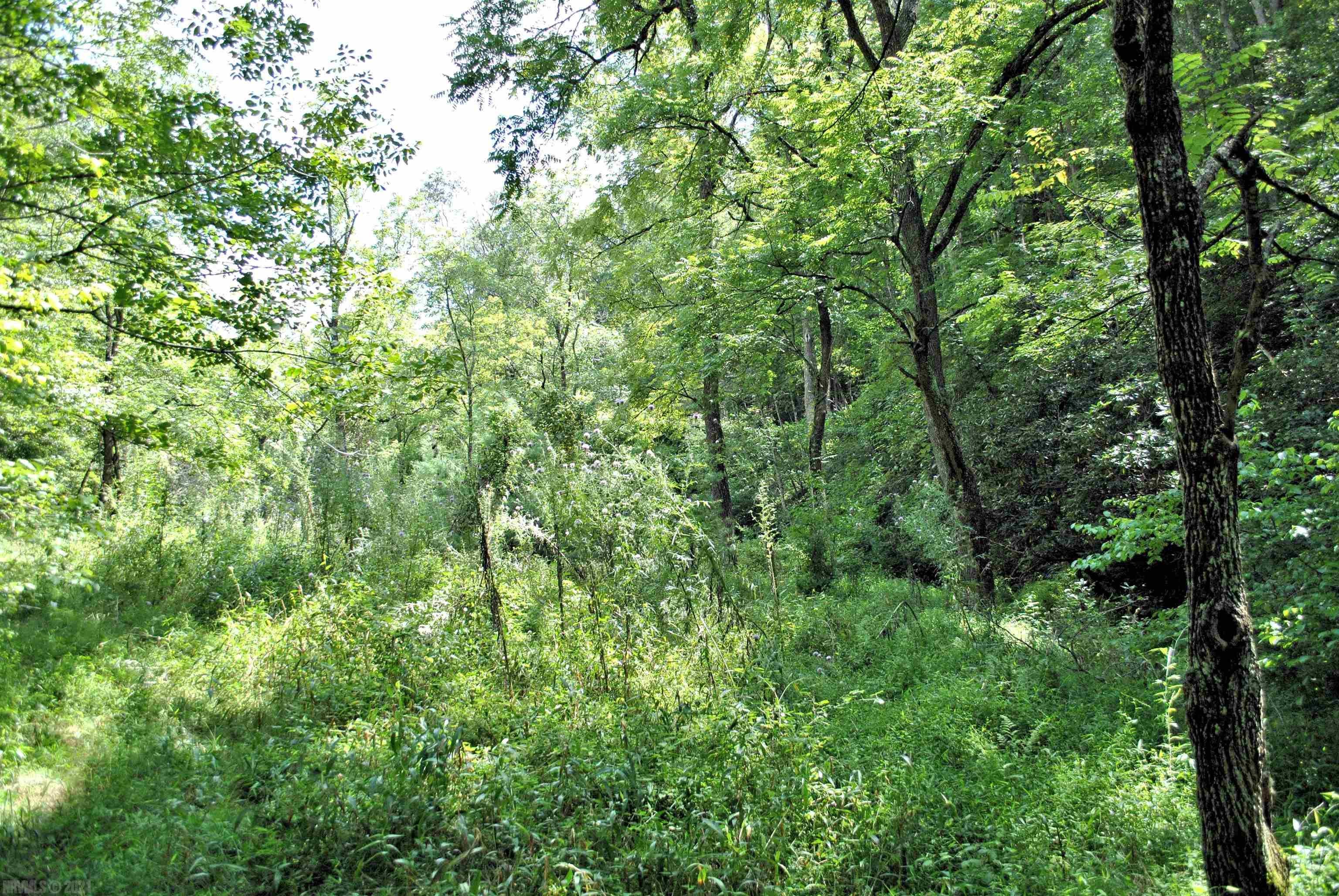 Tbd 153.054-ac Tbd 153.054-ac Chestnut Ridge Road Riner, VA 24149 - Photo 22 of 31 Gallery Image 22