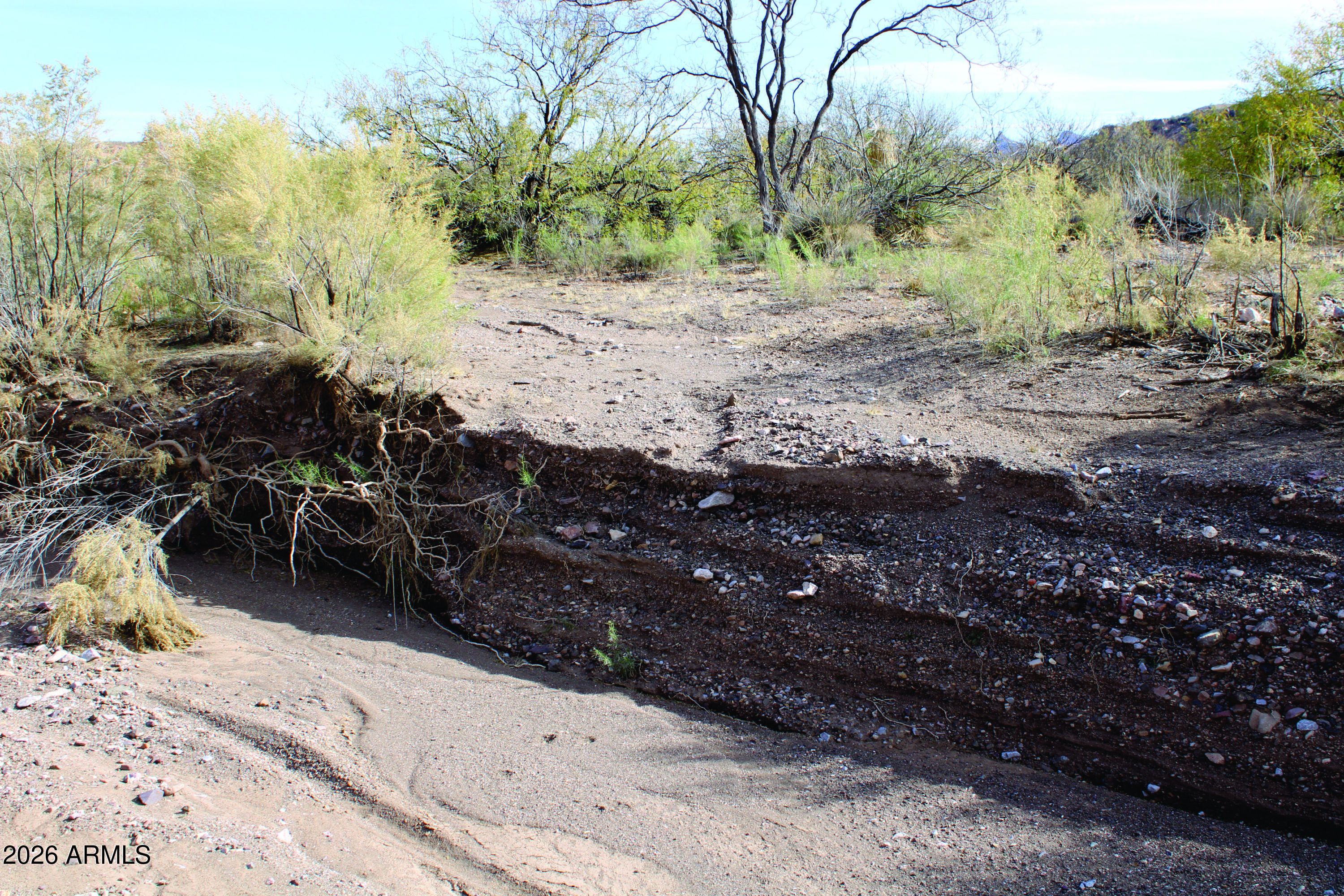 20-acres East Pebble Road Douglas, AZ 85607 - Photo 12 of 15 a view of a yard with trees