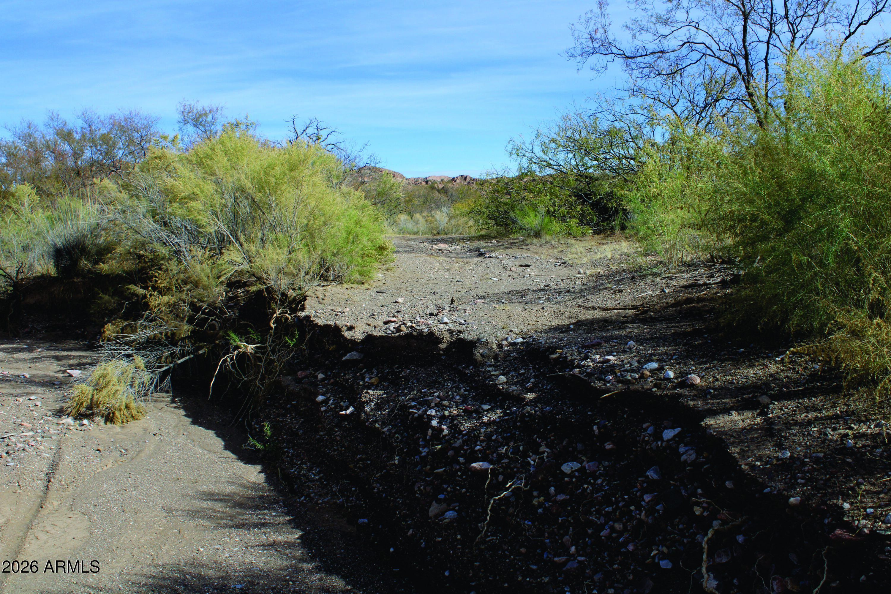 20-acres East Pebble Road Douglas, AZ 85607 - Photo 14 of 15 a view of a road with a yard