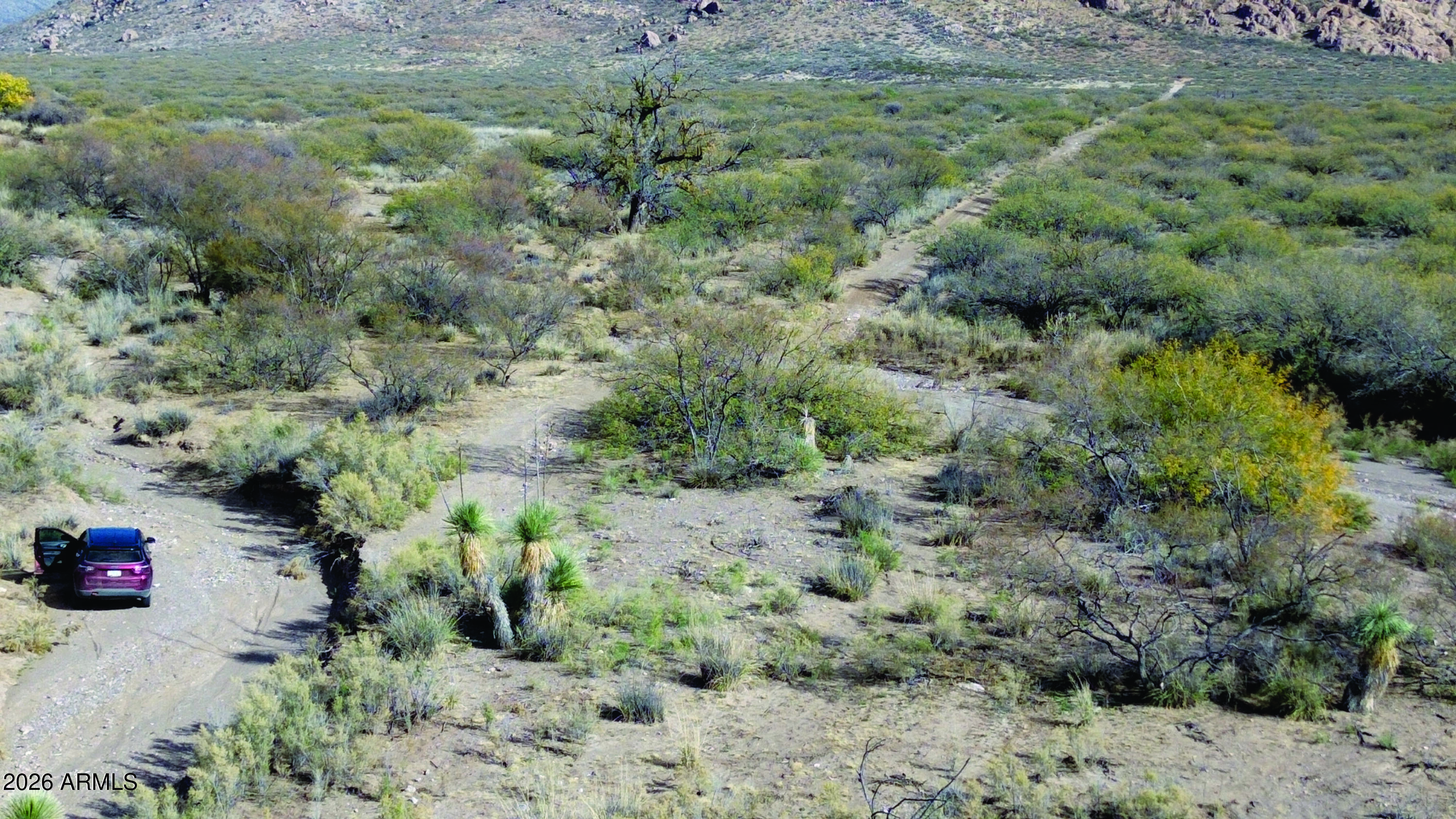 20-acres East Pebble Road Douglas, AZ 85607 - Photo 2 of 15 a view of a dry yard with trees