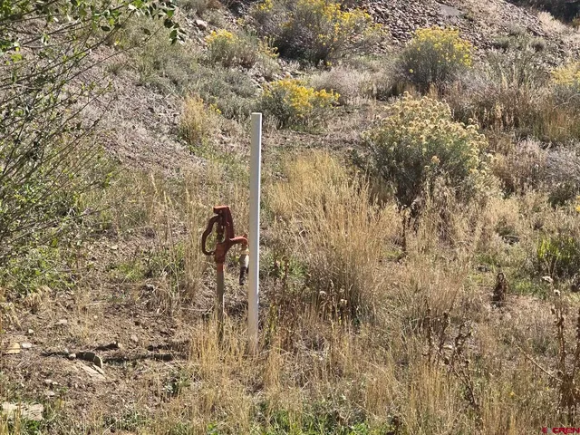 a close view of shower
