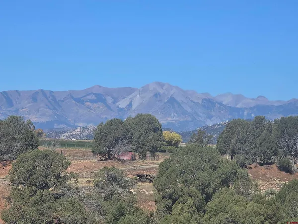 a view of a lush green field with mountains in the background