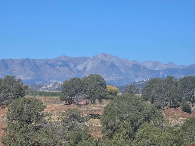 a view of a lush green field with mountains in the background