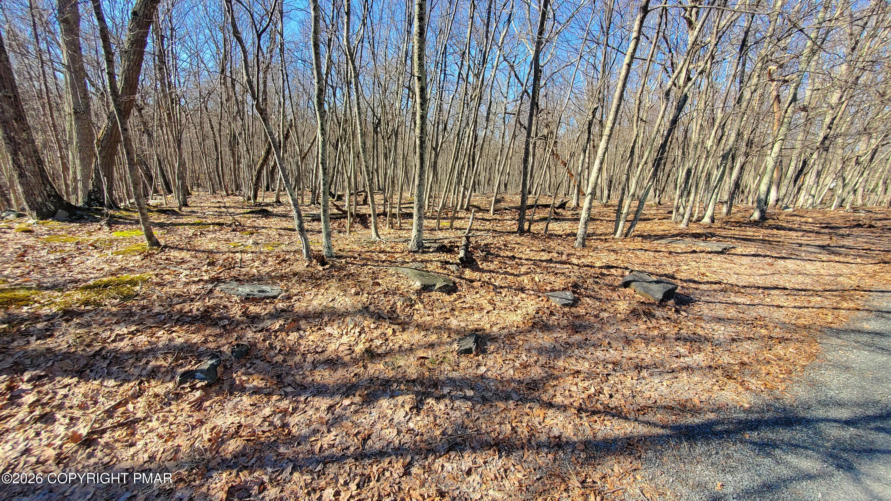 Lot 155 Cardinal Drive Bushkill, PA 18324 - Photo 3 of 7