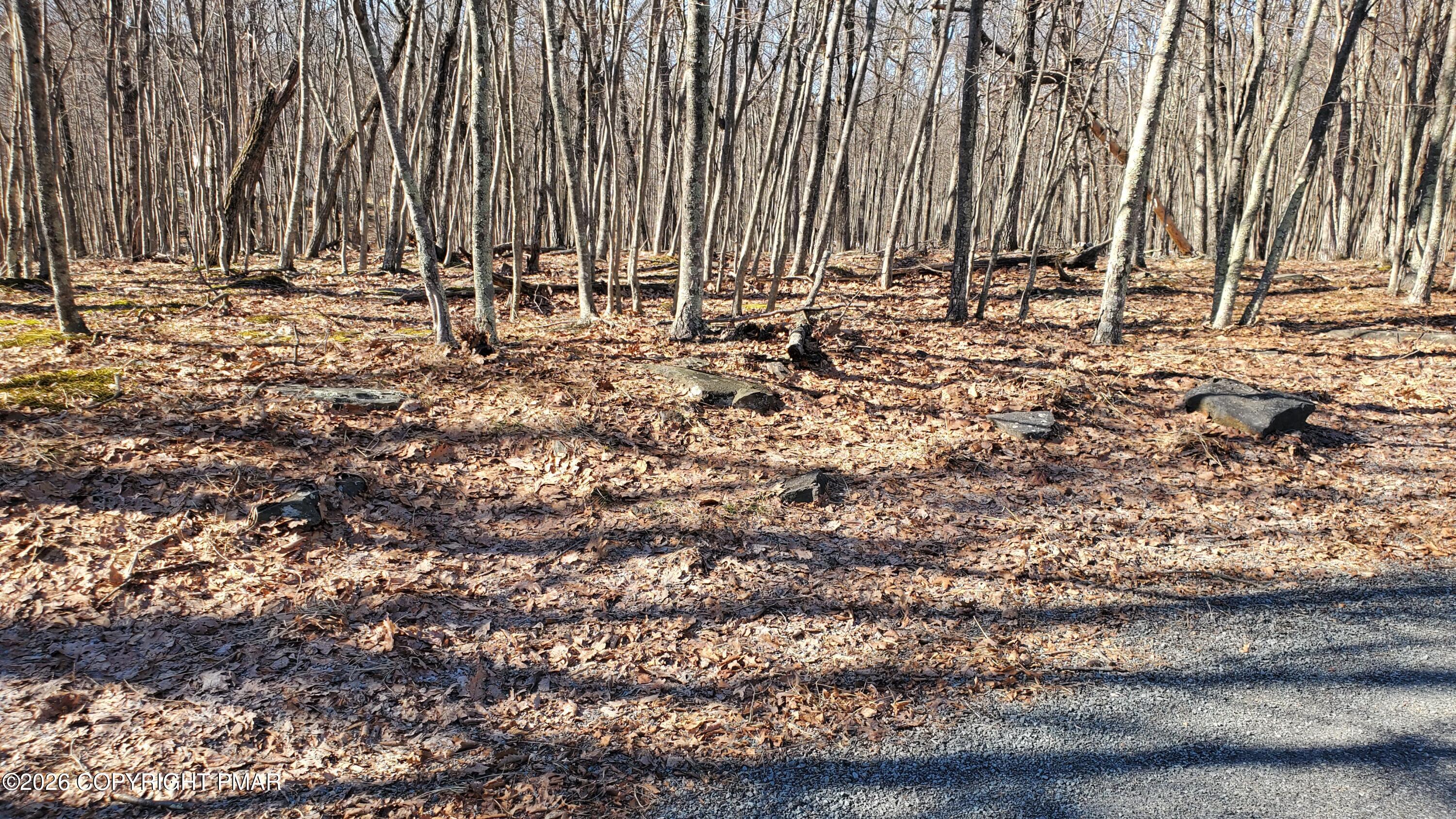 Lot 155 Cardinal Drive Bushkill, PA 18324 - Photo 4 of 7 a view of outdoor space with a car park