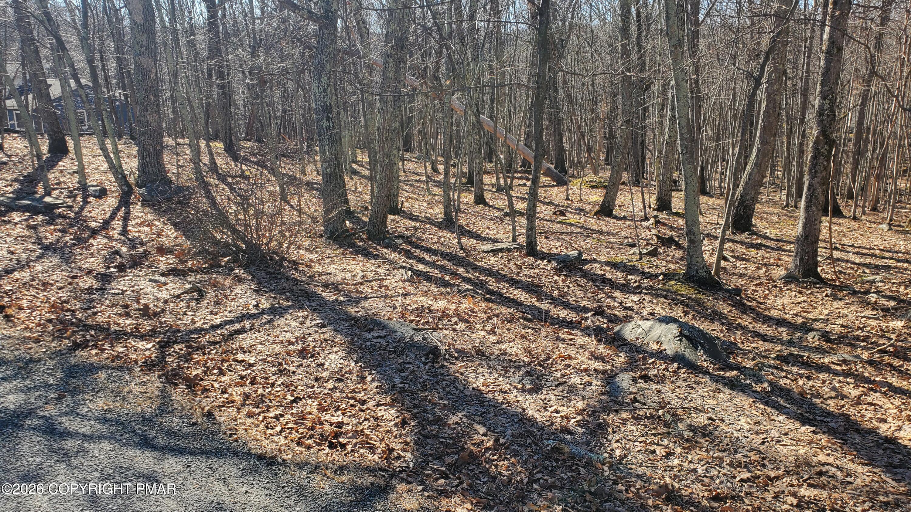 Lot 155 Cardinal Drive Bushkill, PA 18324 - Photo 5 of 7 a view of a forest with trees