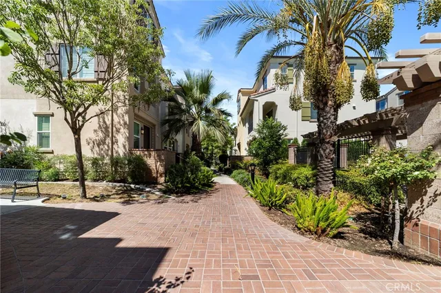 a view of a garden with palm trees