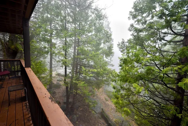 a kitchen with a refrigerator and a window
