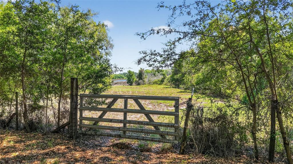 32510 Whitney Road Leesburg, FL 34748 - Photo 13 of 55
