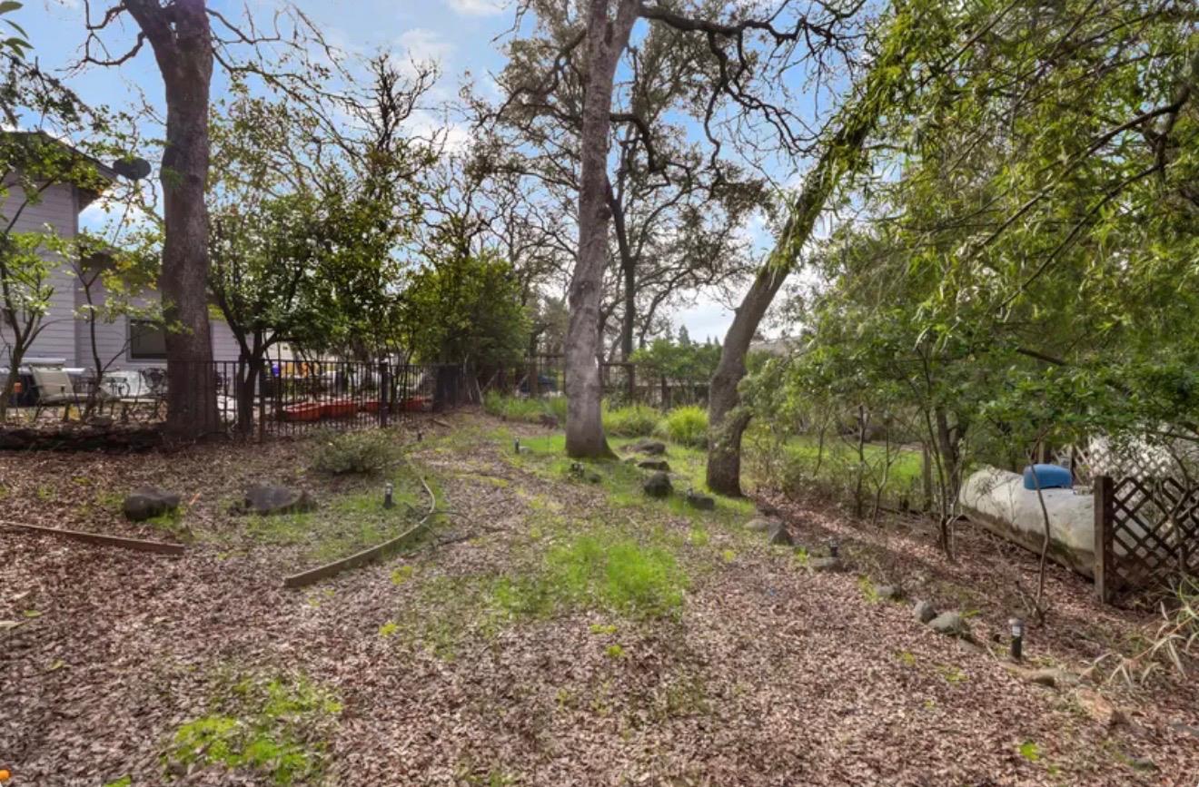 15044 Rio Circle Rancho Murieta, CA 95683 - Photo 47 of 50 a view of a forest with trees