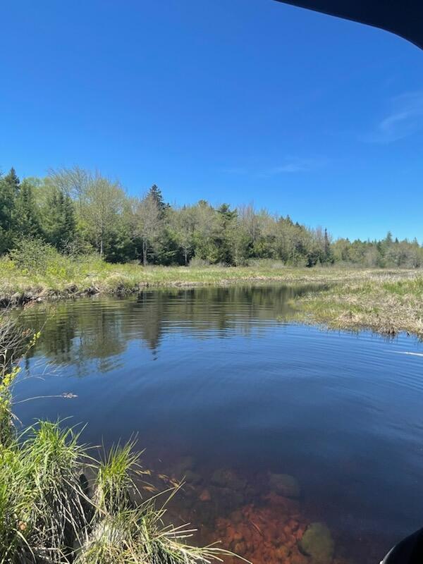 44 Holmes Lane Cushing, ME 04563 - Photo 6 of 107 IMG_8574