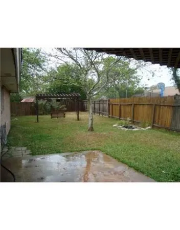 a view of a backyard with large trees