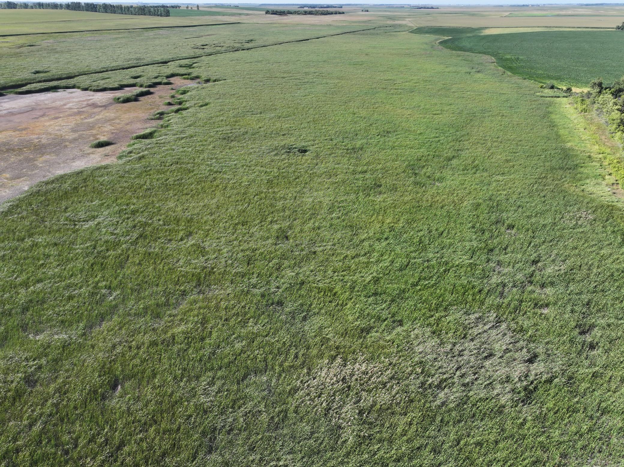 13 State Rte 13 Stirum, ND 58069 - Photo 27 of 31 Gallery Image 27