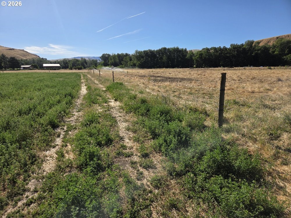54884 Day Road Milton Freewater, OR 97862 - Photo 18 of 25