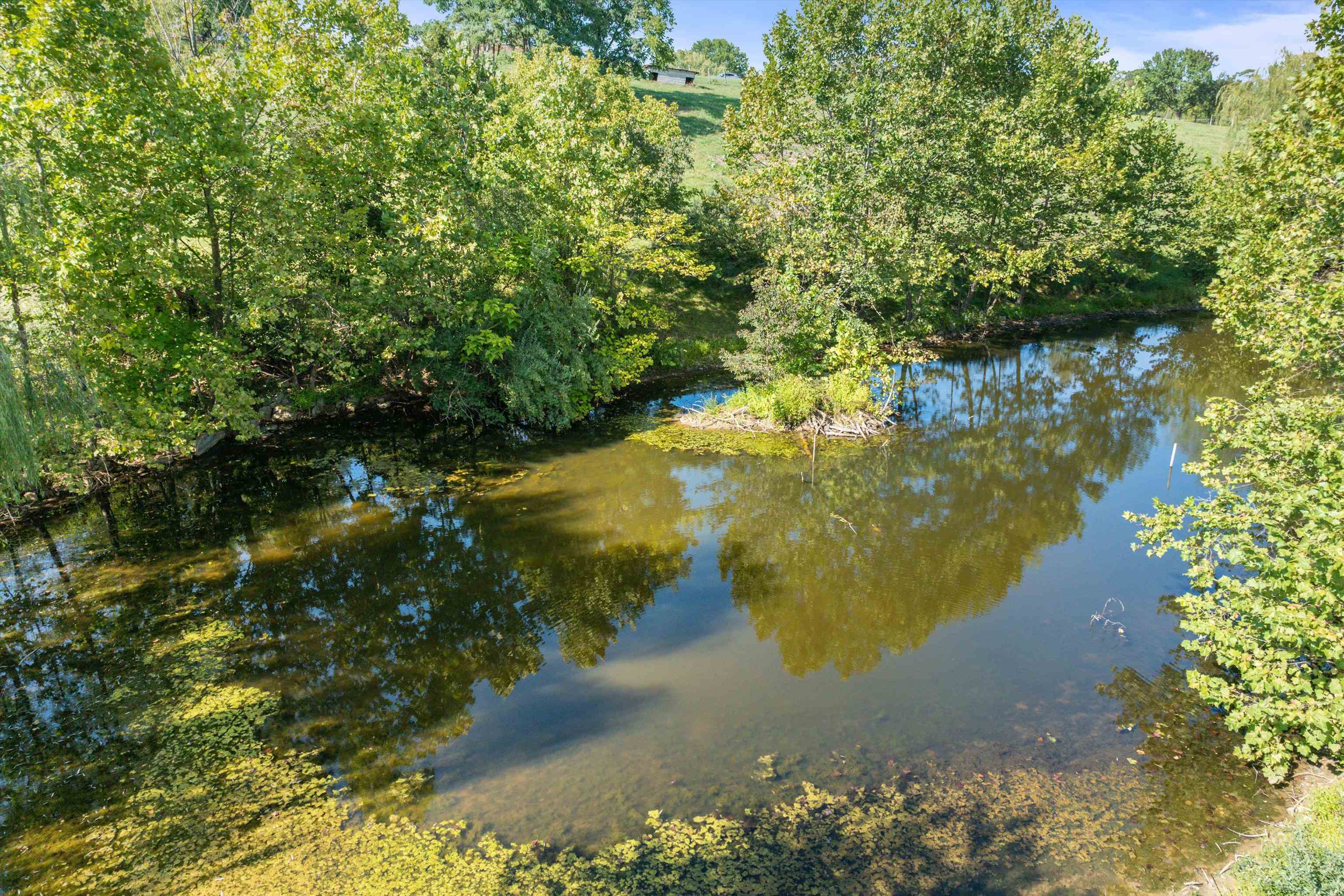 331 Whiskey Creek Road Churchville, VA 24421 - Photo 49 of 55 Gallery Image 49