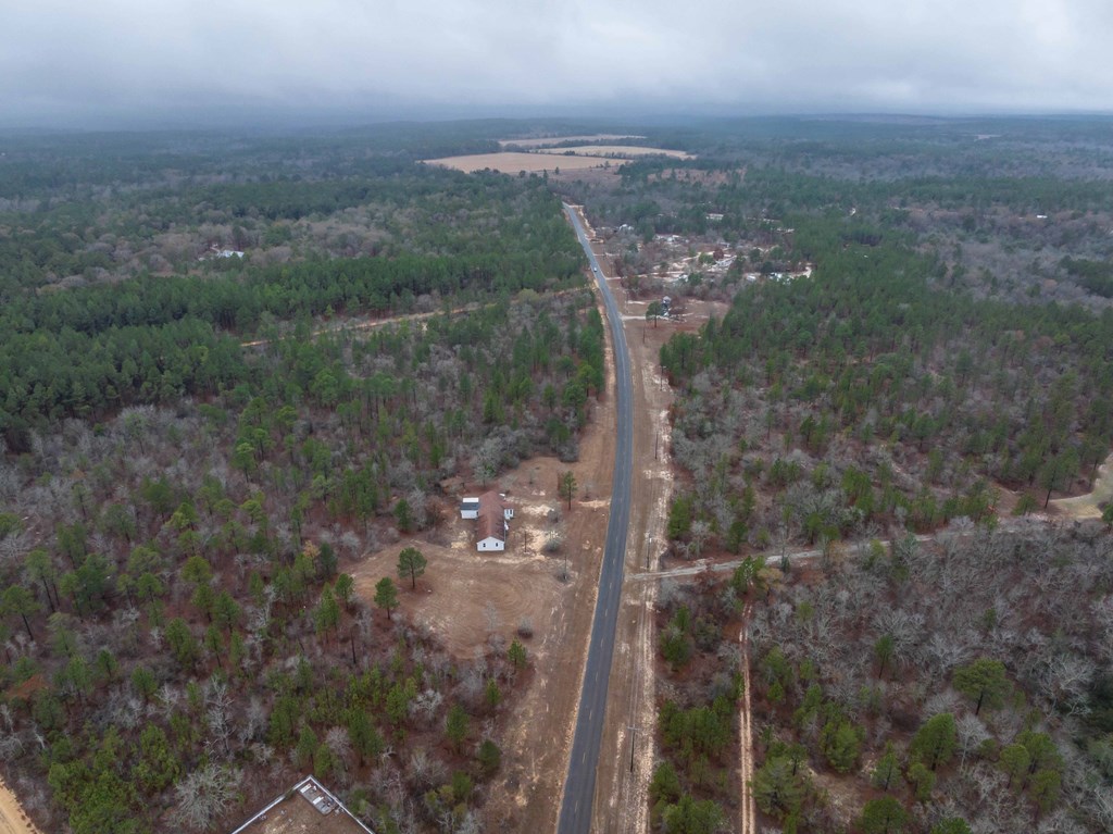 322 Moores Chapel Road Mauk, GA 31058 - Photo 31 of 34 a view of a forest from a view of a forest