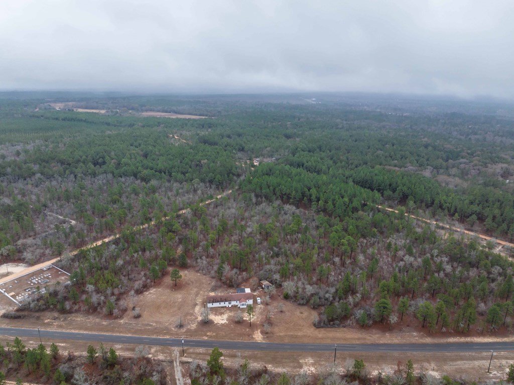 322 Moores Chapel Road Mauk, GA 31058 - Photo 32 of 34 a view of a big yard