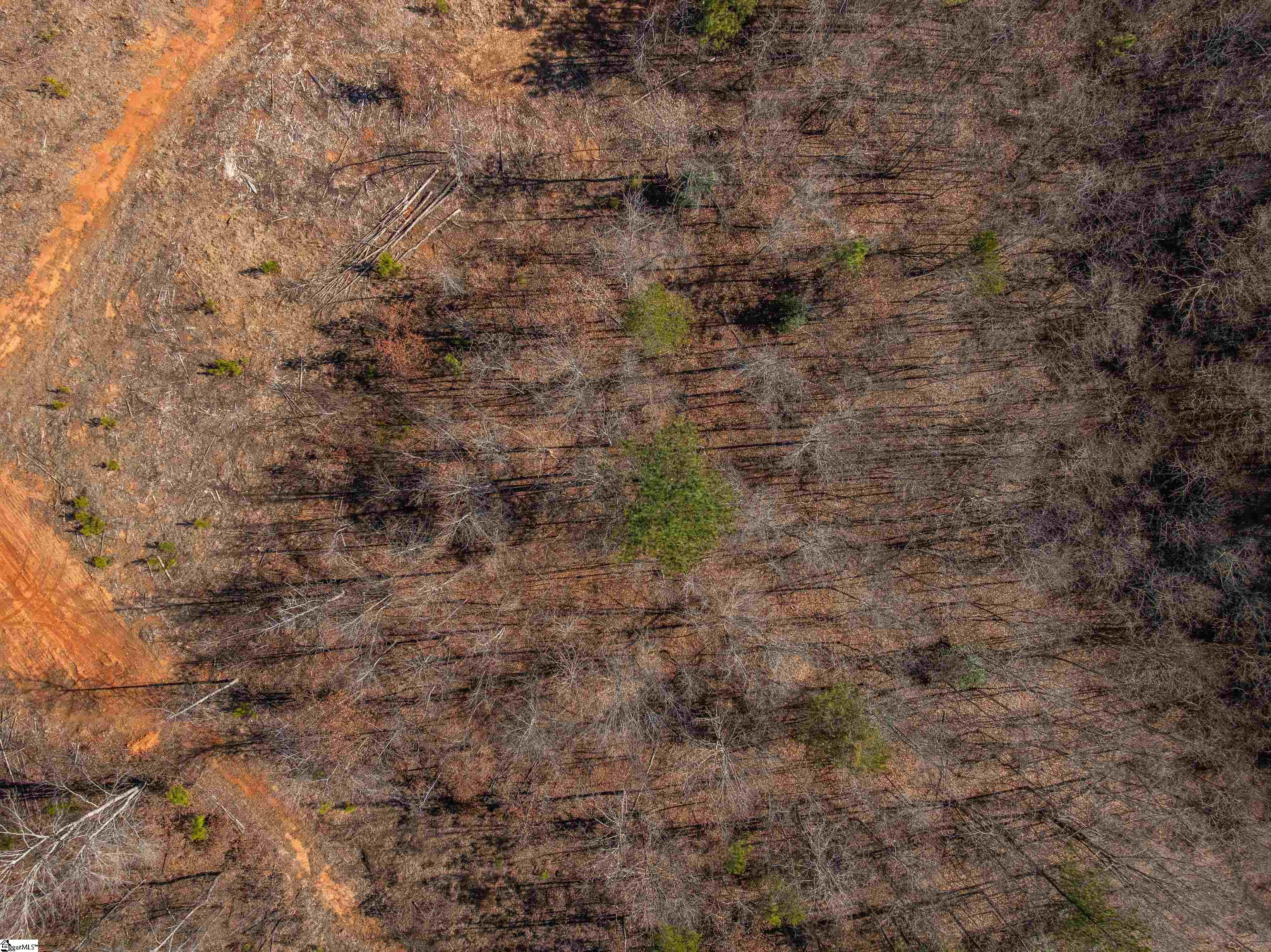 0 Crowe Creek Road, Unit LOT F Six Mile, SC 29682 - Photo 12 of 18