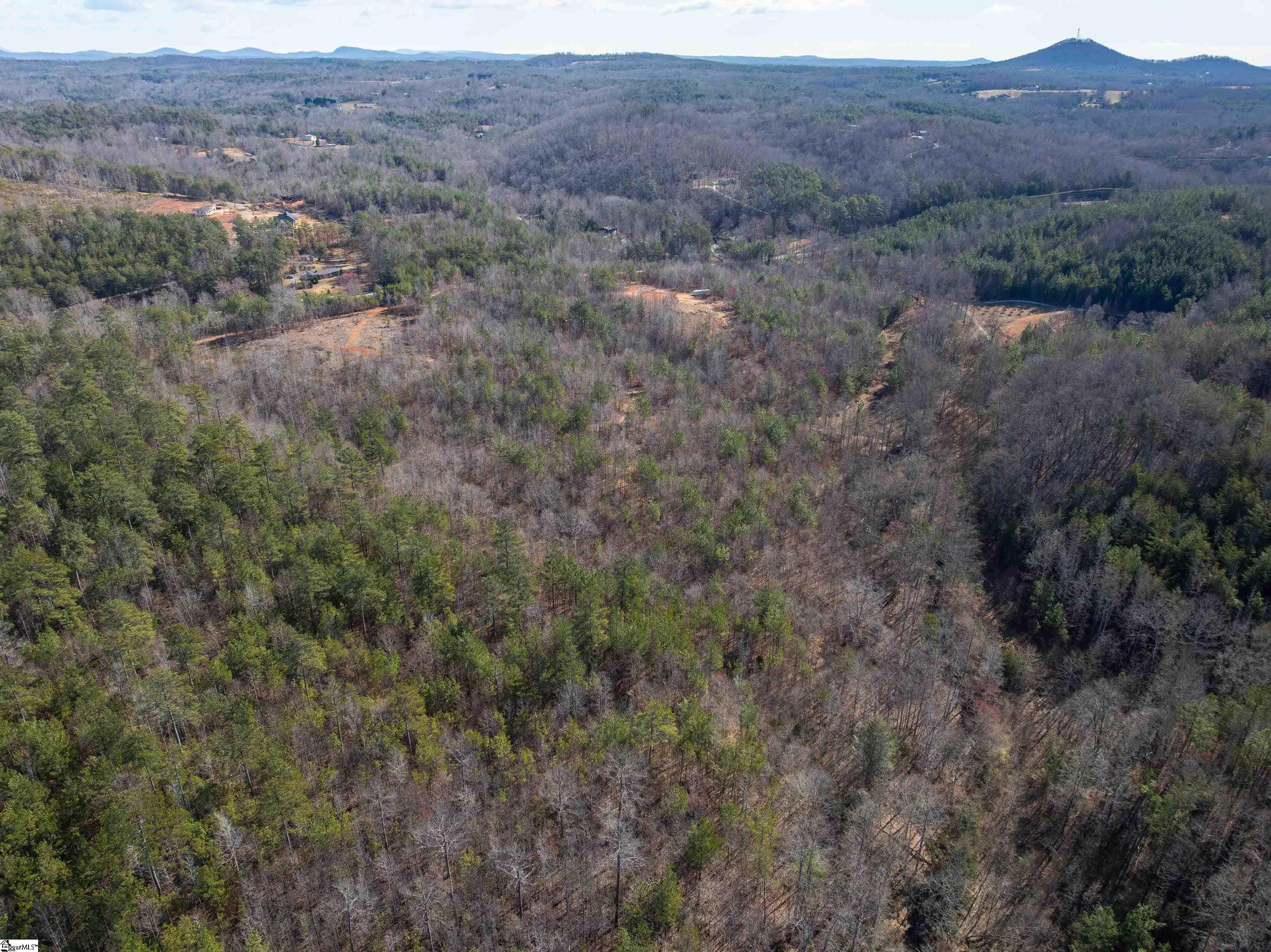 0 Crowe Creek Road, Unit LOT F Six Mile, SC 29682 - Photo 17 of 18