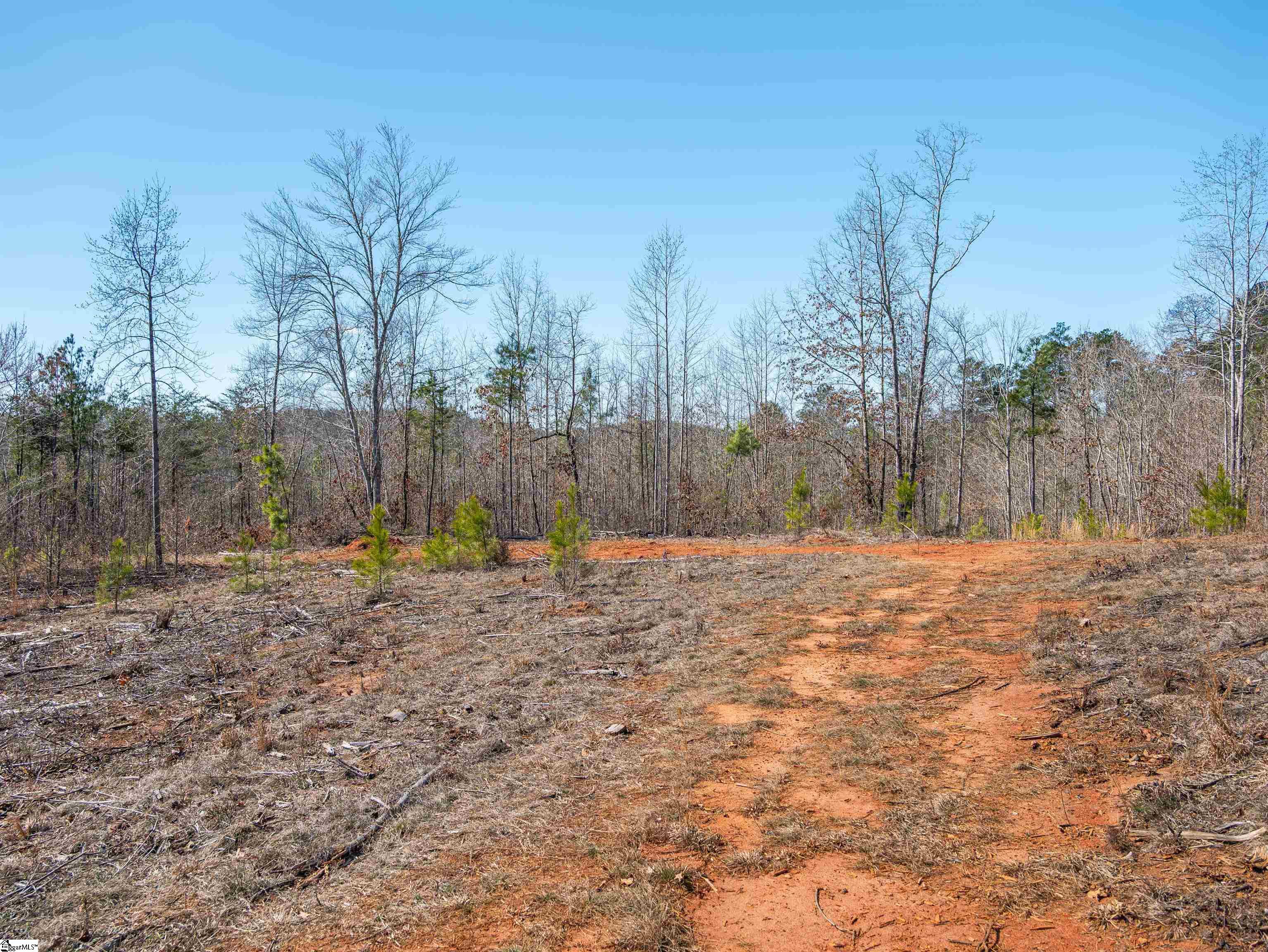 0 Crowe Creek Road, Unit LOT F Six Mile, SC 29682 - Photo 3 of 18