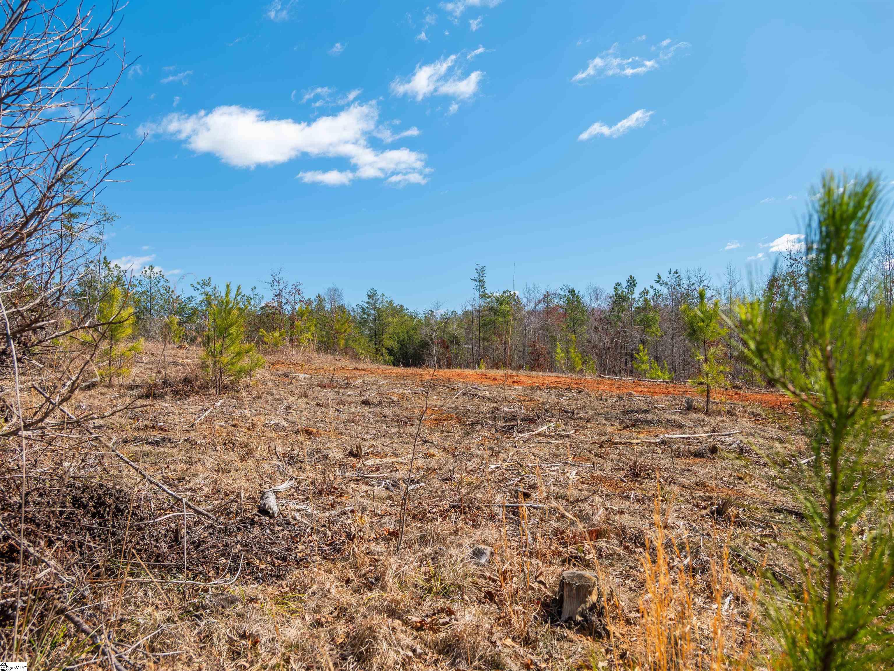 0 Crowe Creek Road, Unit LOT F Six Mile, SC 29682 - Photo 7 of 18