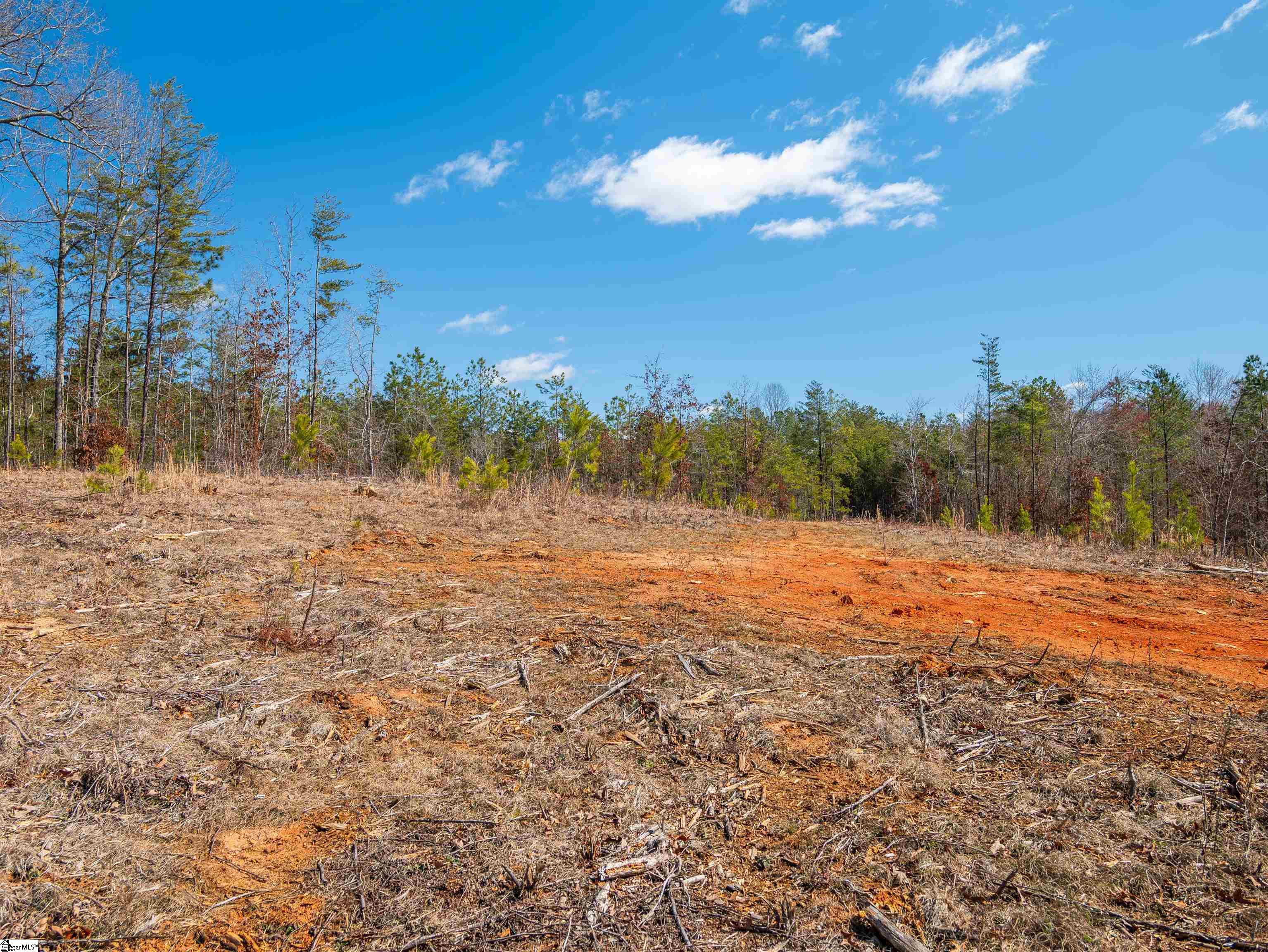 0 Crowe Creek Road, Unit LOT F Six Mile, SC 29682 - Photo 8 of 18