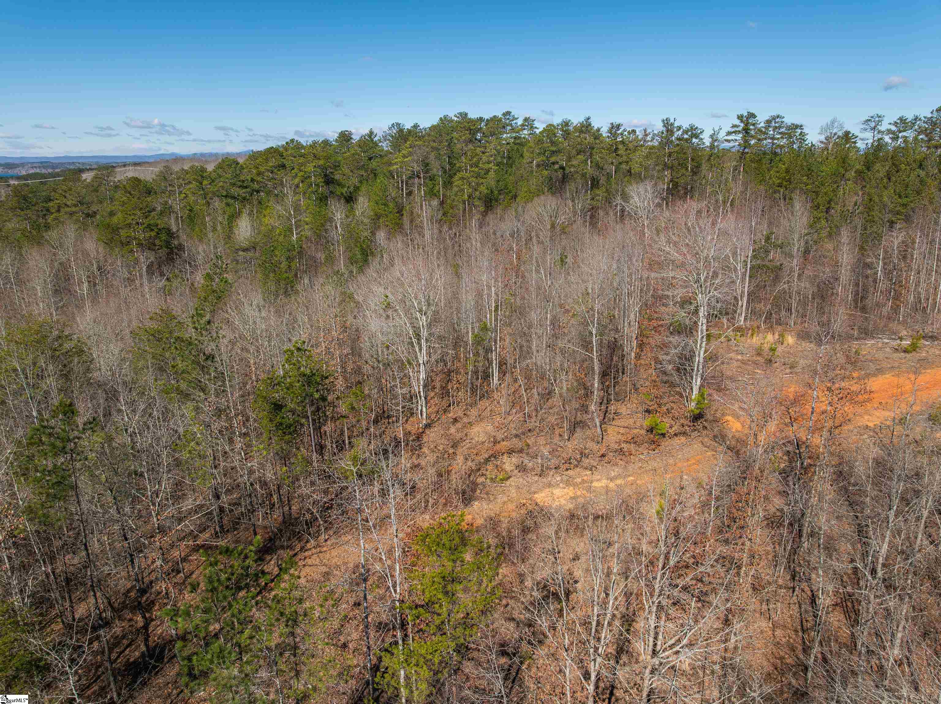 0 Crowe Creek Road, Unit LOT F Six Mile, SC 29682 - Photo 9 of 18