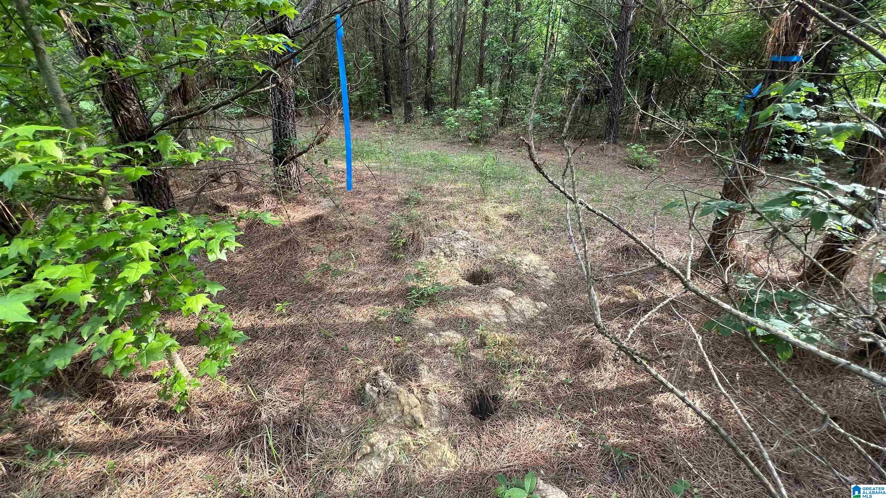 Lot 8 Woods Bend Road, Unit LOT 8 Ragland, AL 35131 - Photo 2 of 28