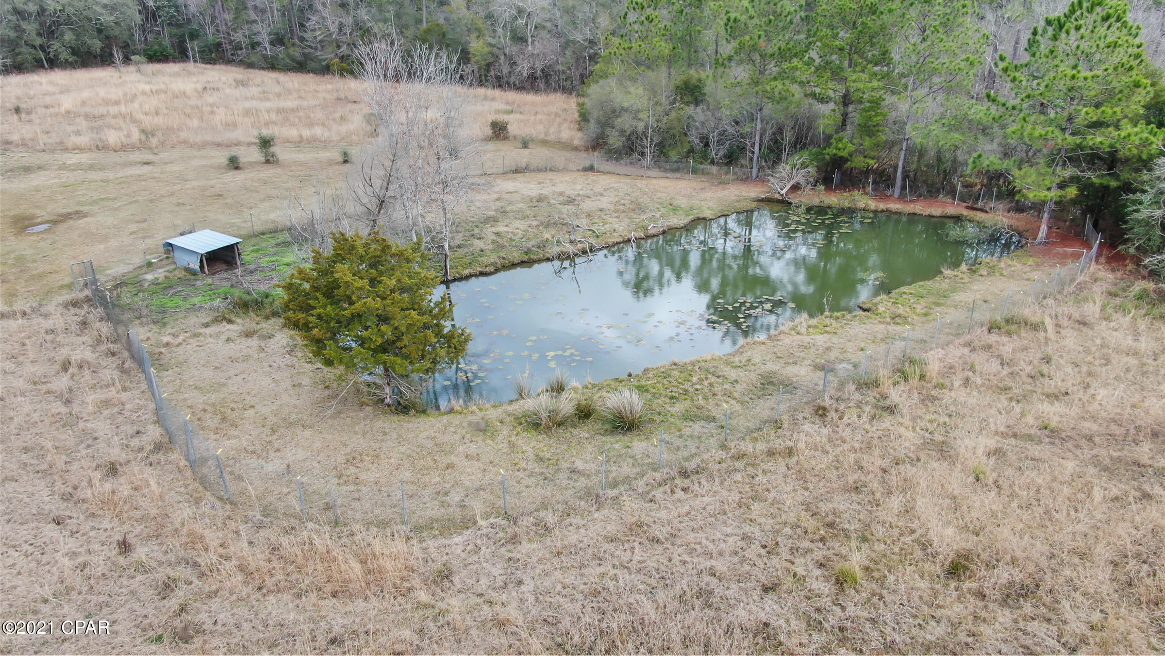 4056 Sand Path Road Bonifay, FL 32425 - Photo 7 of 48 Gallery Image 7
