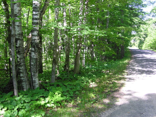 Mcdonald Road Washington Island, WI 54246 - Photo 1 of 1