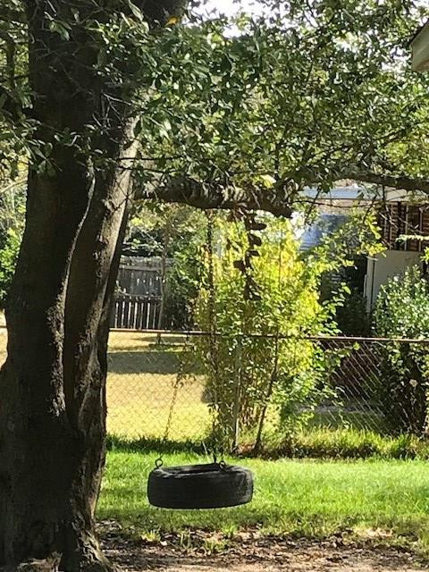 2269 Overlook Road Augusta, GA 30906 - Photo 19 of 23 SWEET LITTLE TIRE SWING IN BKYD.
