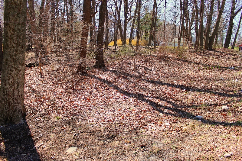 556 Glen Road Sparta, NJ 07871 - Photo 2 of 4