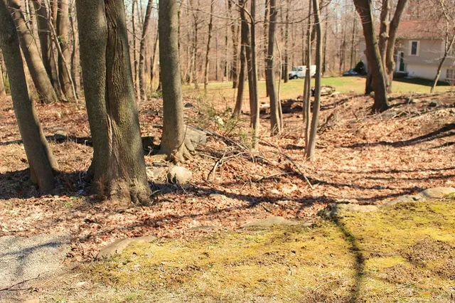 $8,000 | 556 Glen Road, Sparta, NJ 07871