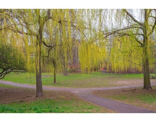 85 Griggs Road Brookline, MA 02446 - Photo 20 of 28 a backyard of a house with trees and plants