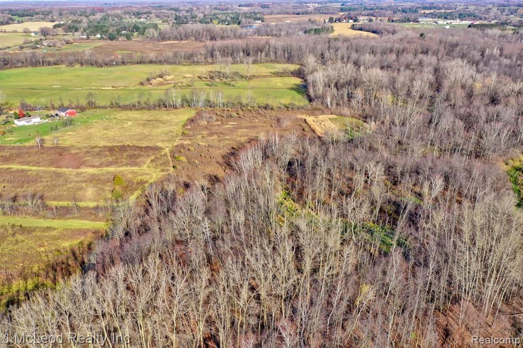 5655 Denhoff Road Kingston, MI 48741 - Photo 51 of 58