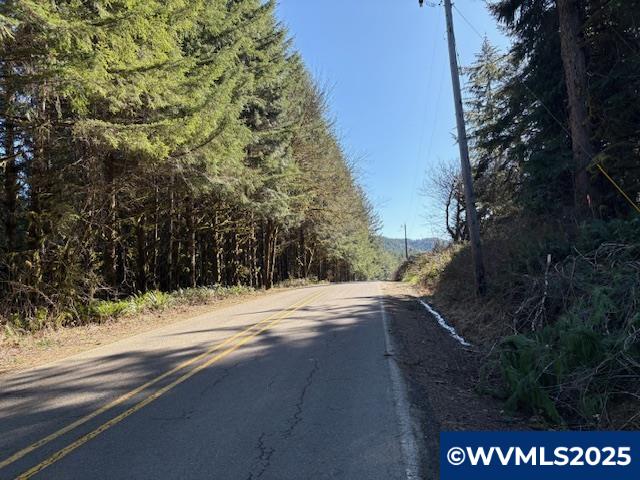 0 Logsden Road Blodgett, OR 97326 - Photo 13 of 24