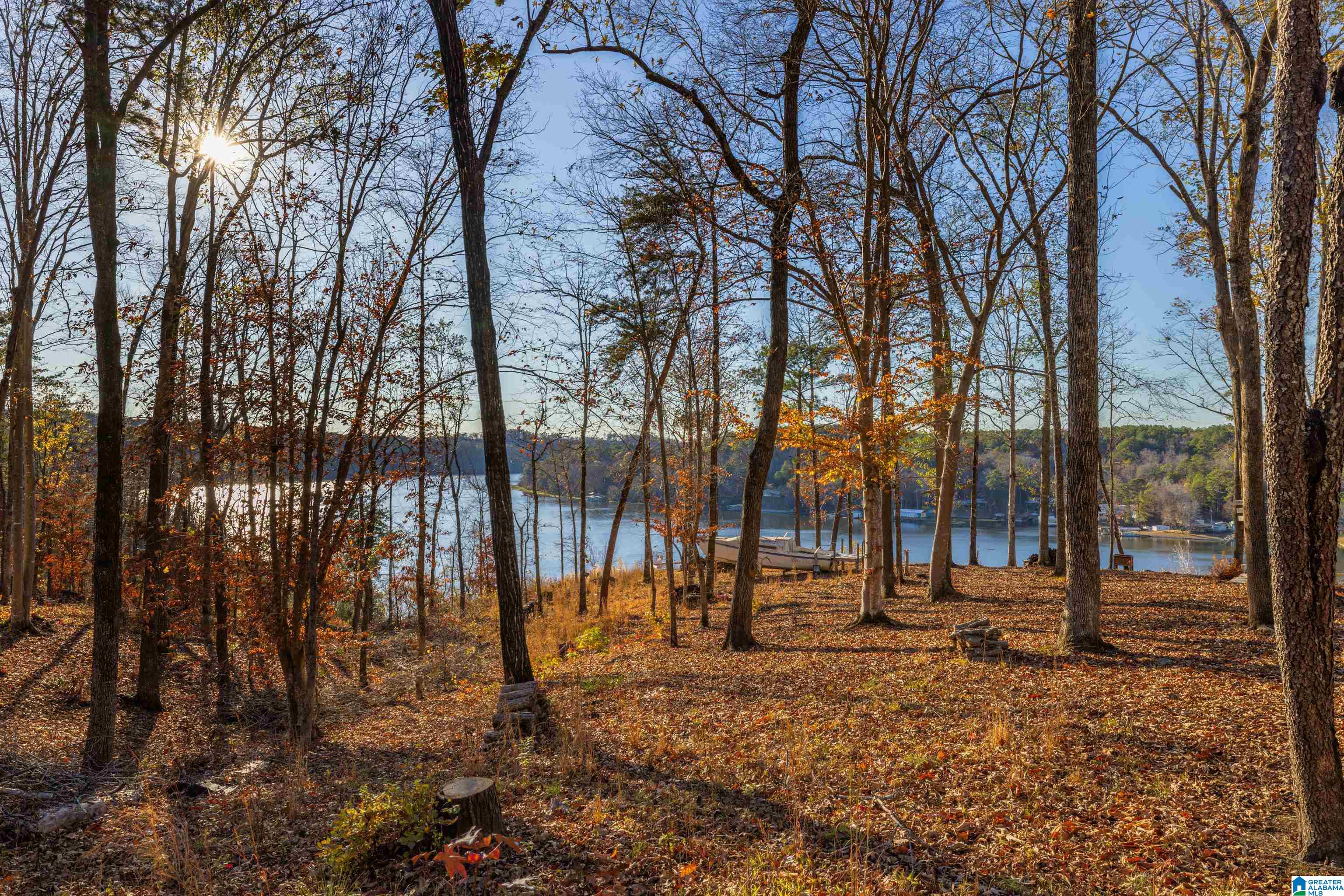 191 Warrior River Highlands Road Adger, AL 35006 - Photo 49 of 81