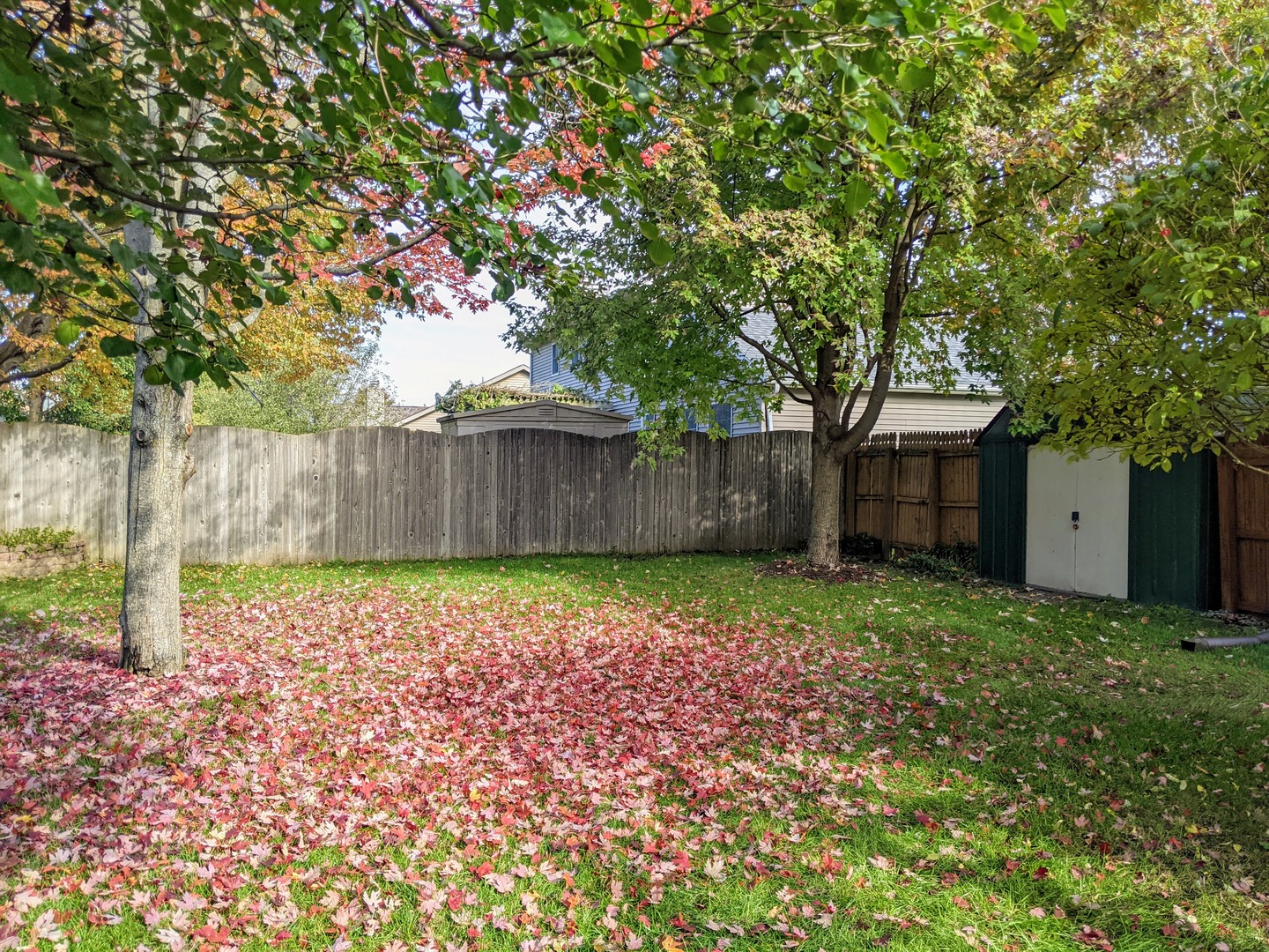 1409 Cobblefield Road Champaign, IL 61822 - Photo 20 of 73
