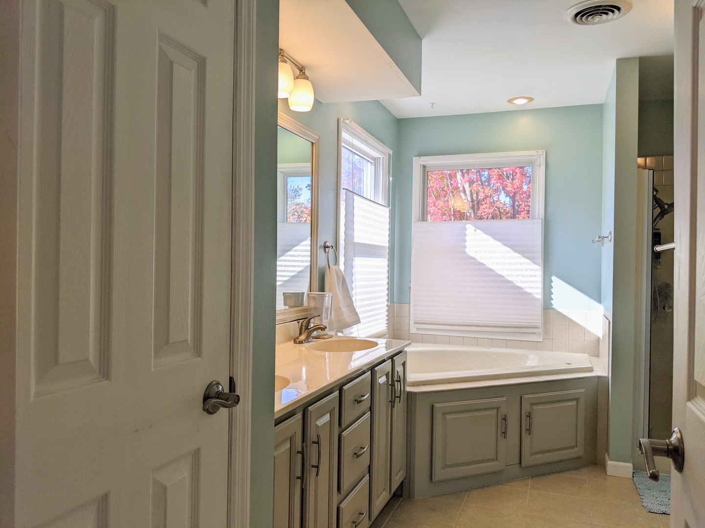 1409 Cobblefield Road Champaign, IL 61822 - Photo 42 of 73 a bathroom with double vanity and a window