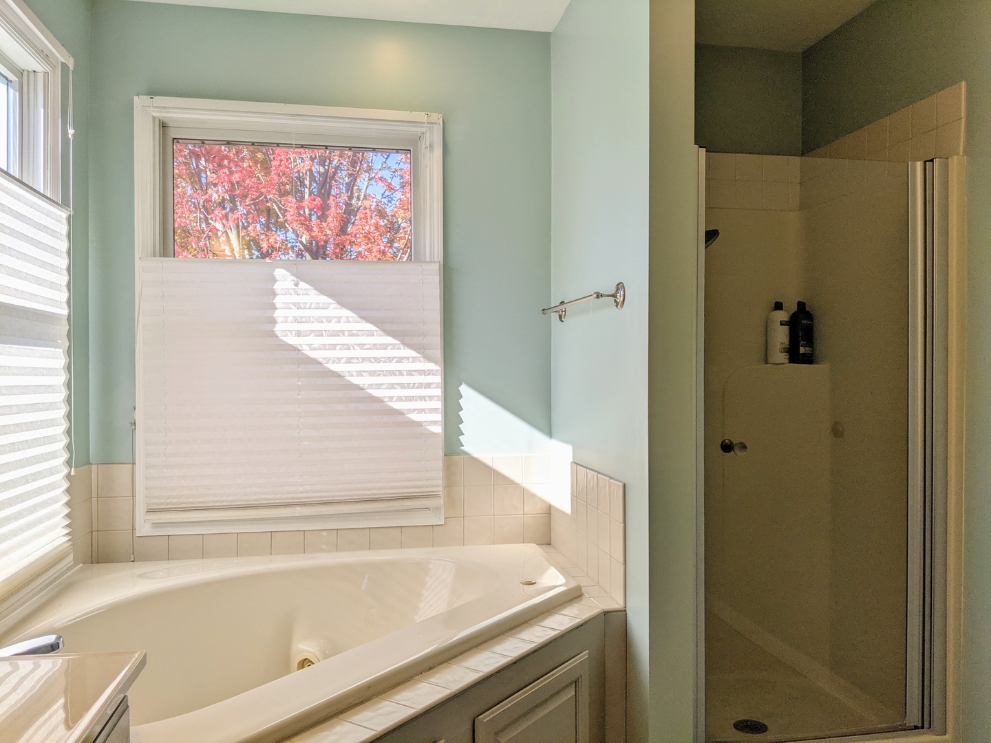 1409 Cobblefield Road Champaign, IL 61822 - Photo 43 of 73 a bathroom with a bathtub and a shower
