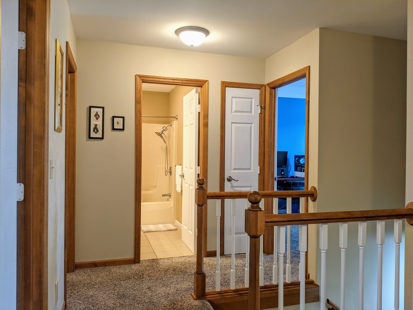 1409 Cobblefield Road Champaign, IL 61822 - Photo 59 of 73