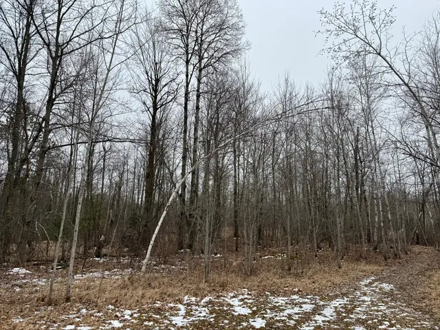 $149,000 | Xyz Hammond Road, Finlayson, MN 55735